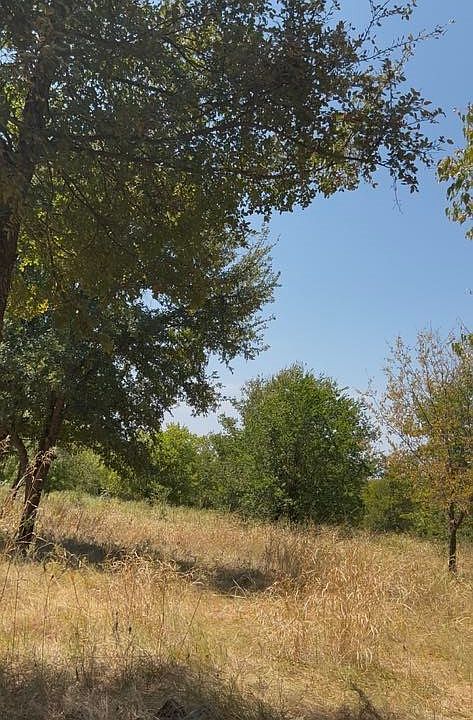 2nd image of 103235 Hillside Cir
