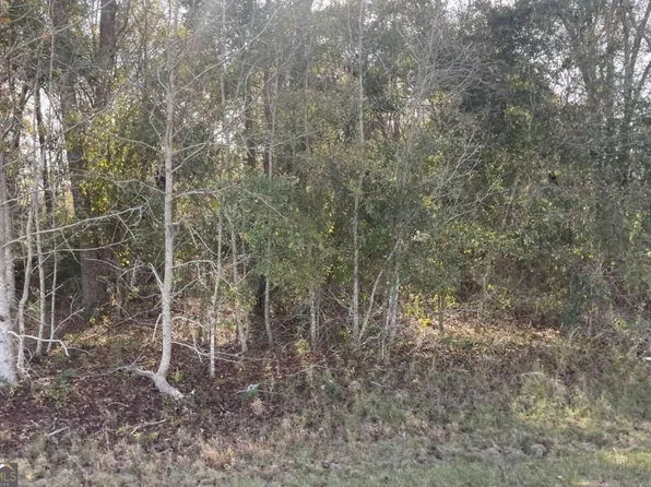 Pecan Rd, Glennville, GA 30427