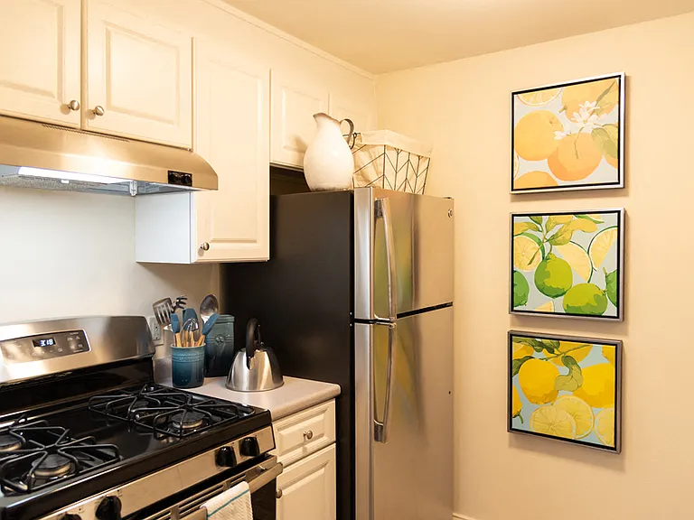 Renovated Kitchens Featuring Steel Appliances, White Cabinetry and new Countertops