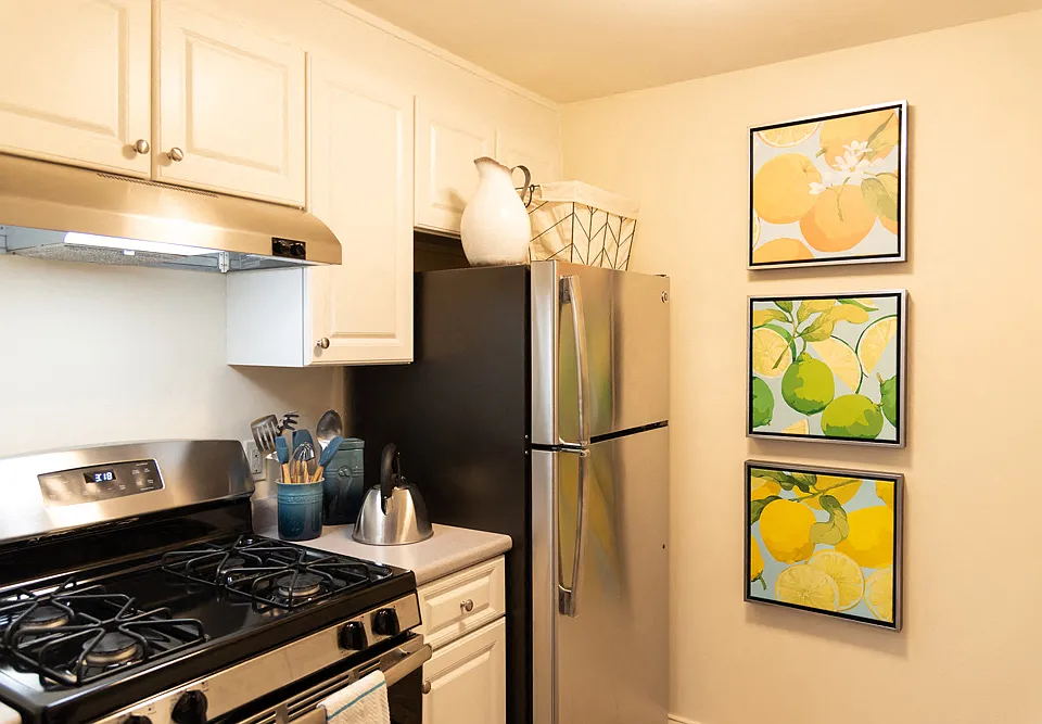 Renovated Kitchens Featuring Steel Appliances, White Cabinetry and new Countertops
