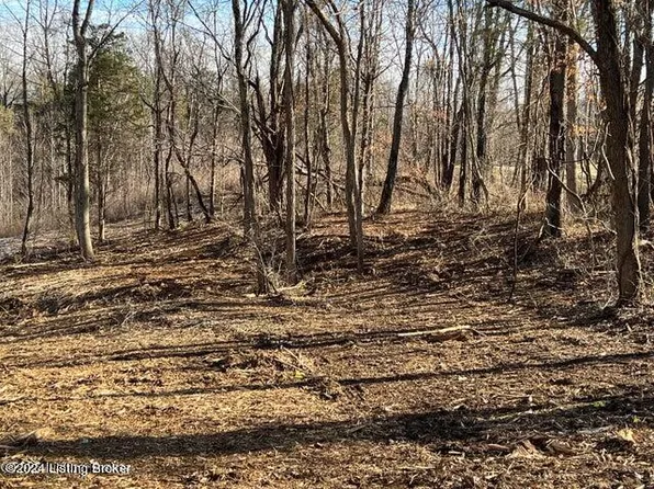 LOT-10B Dogwood Ests, Bedford, KY 40006