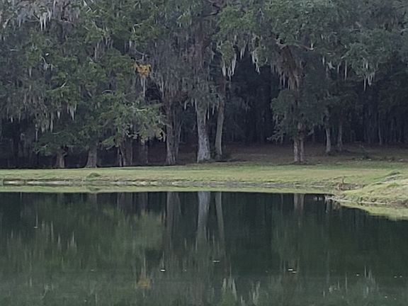 Backyard view of lake and property.
Horse farm, 22 acres abundant wildlife,
Mature trees and forest,
 great for bird watchers and wildlife watchers.