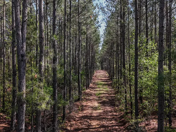 0 Phillips Church Rd, Bishopville, SC 29010