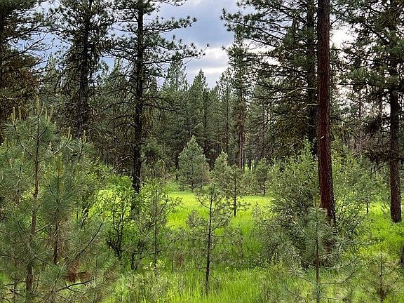 4th image of LOT 7 Timber Ridge Dr