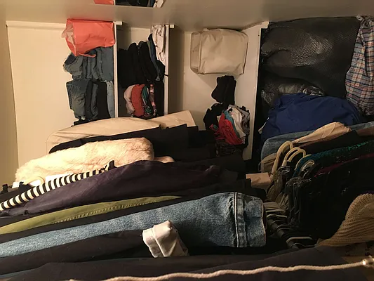 Rented by GP Properties | media 10