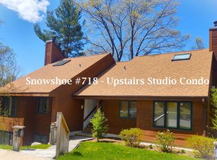 4826 N Crossover Dr #718, Bellaire, MI 49615