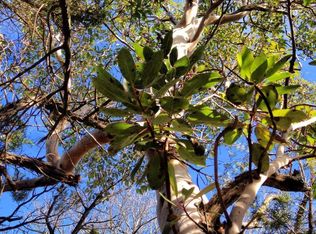 93 Headwaters Ranch Rd, Kendalia, TX 78027