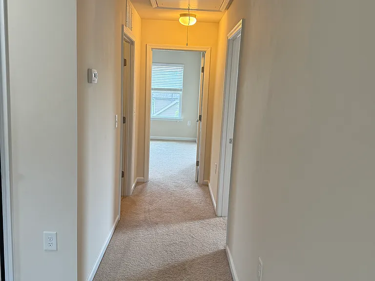 925 Lemster Ln — Photo 52