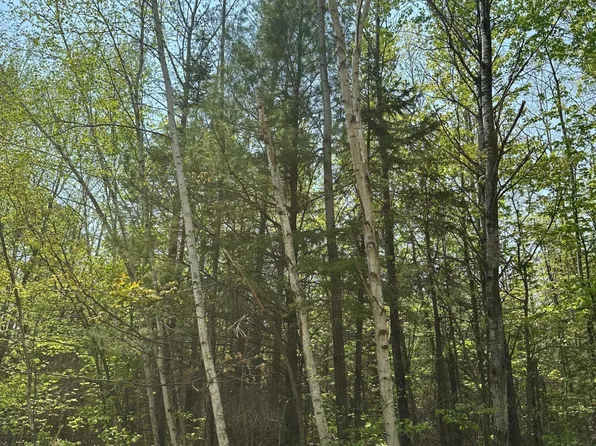 Burrows Lake Rd Lot 11, Tomahawk, WI 54487