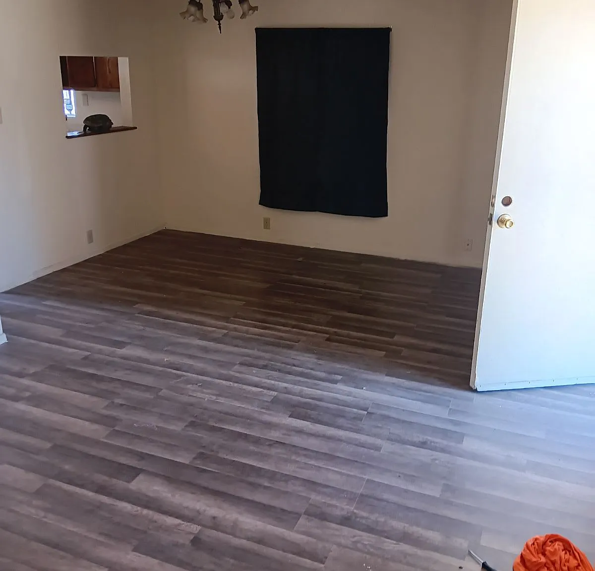 1 bed, 700 sqft, $1,250 — Photo 2