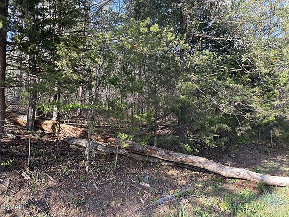 3rd image of 1 Timber Trl Lot 65J