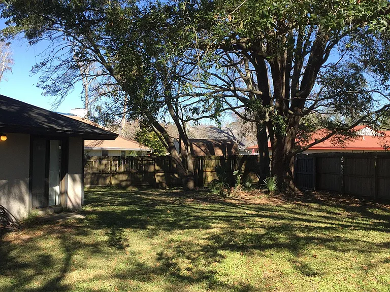 Backyard