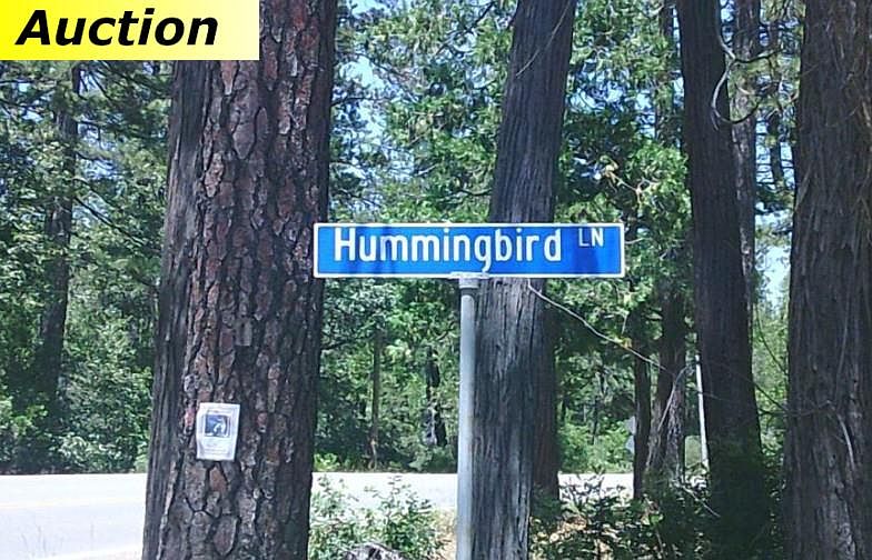 2nd image of 17340 Hummingbird Ln