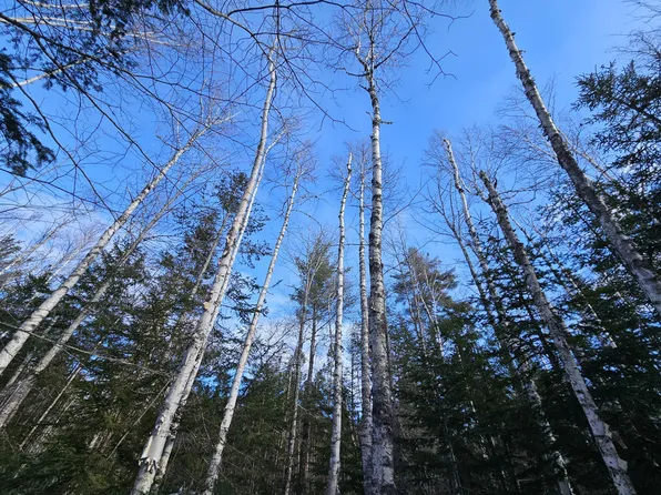 Lot7 Point Road, Otis, ME 04605