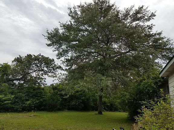 5th image of 10811 Oak Haven Cir