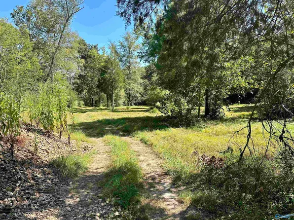 21491 Cairo Hollow Rd, Athens, AL 35614