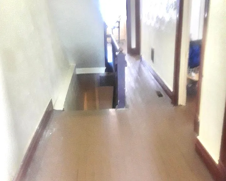 232 Ophelia St — Photo 7