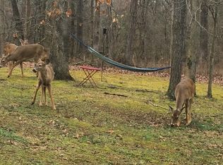 1069 S Hewitt Rd, Bowling Green, KY 42103