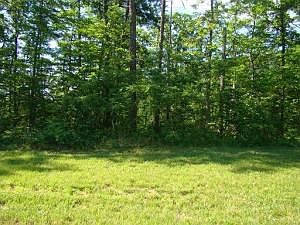 1st image of 3016 Forest Acre Ct