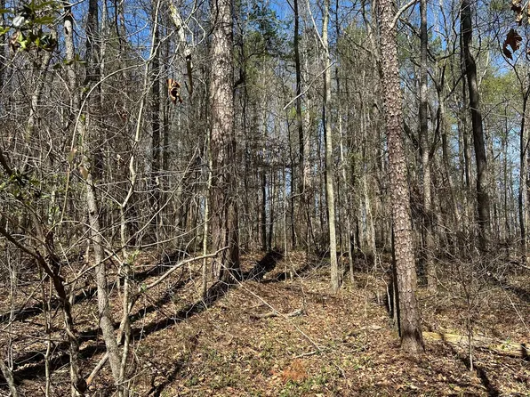 0 Poplar Mountain Ln, Carnesville, GA 30521