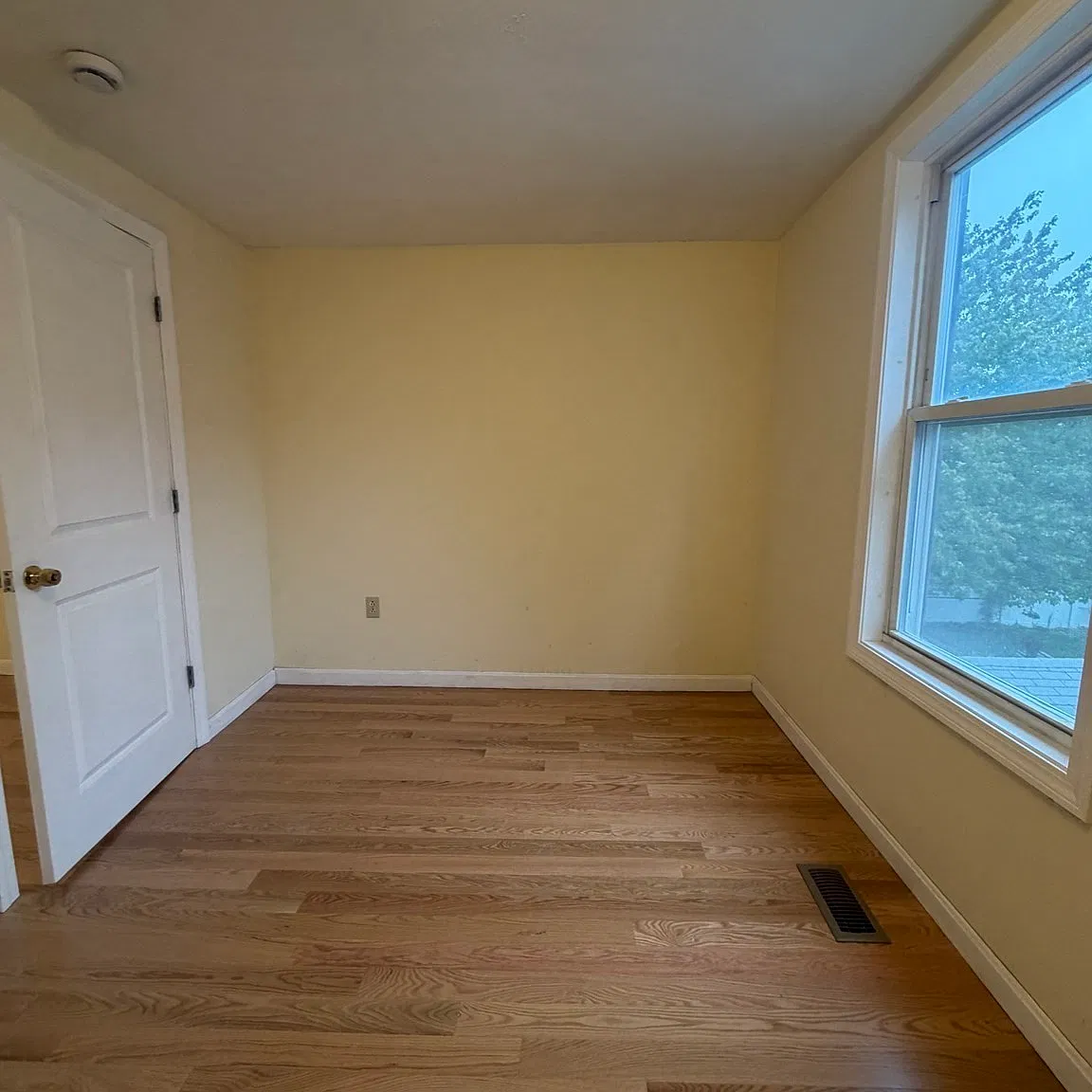 3 bed, 1.0 bath, 1000 sqft, $2,800 — Photo 3