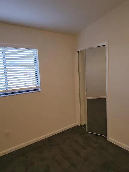 13532 Siesta Pines Ct #3 — Photo 38