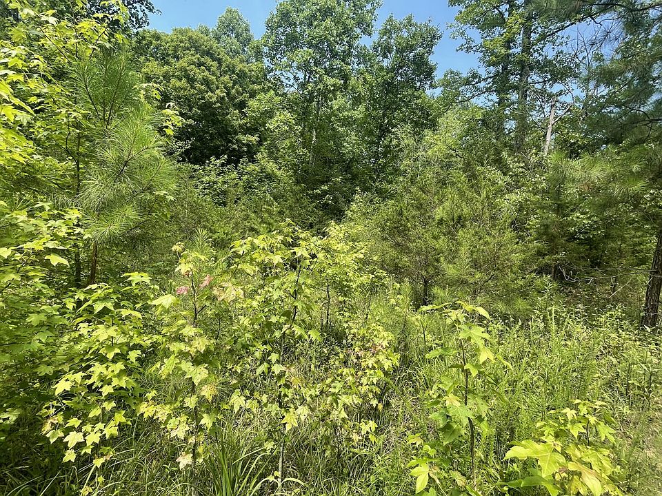 2nd image of 282 County Road 285