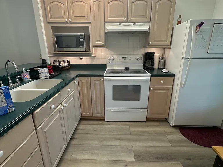 210 Sun Vista Ct N — Photo 4