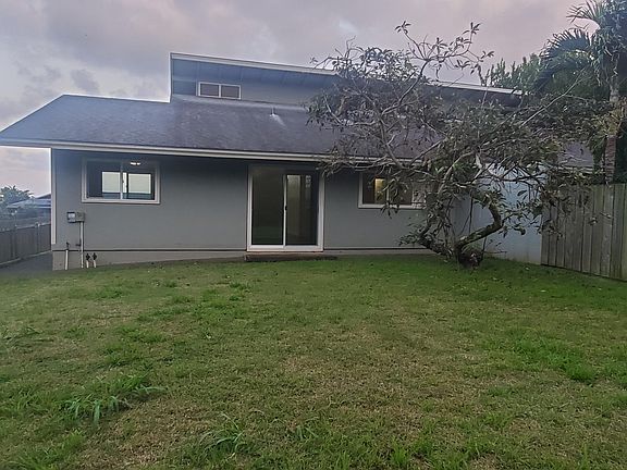 Back yard with avocado tree