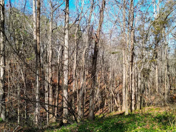 0 Island Mill Rd, Acworth, GA 30102