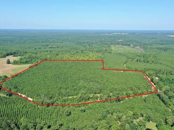 00 County Road 1619, Linden, TX 75563