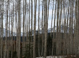 234 Touchdown Dr, Telluride, CO 81435