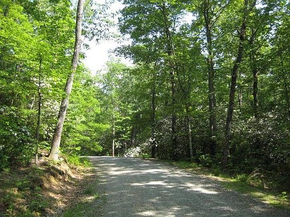 2nd image of 491 Forestgreen Dr