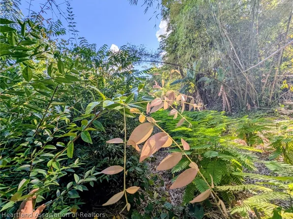 1104 Hopkins Ln, Zolfo Springs, FL 33890