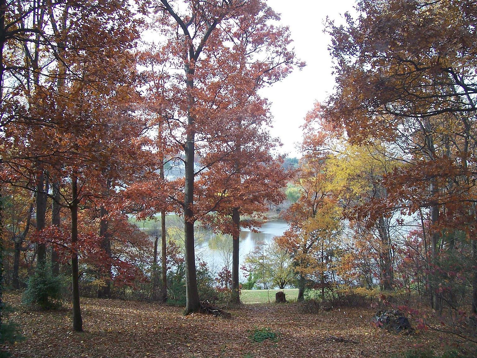 9436 Emory Grove Rd, Gaithersburg, MD 20877 Zillow