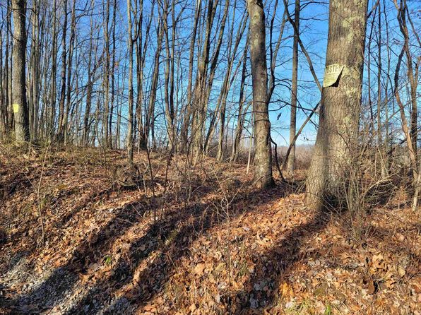 LOT 10 Sand Bank Rd, Masontown, WV 26542