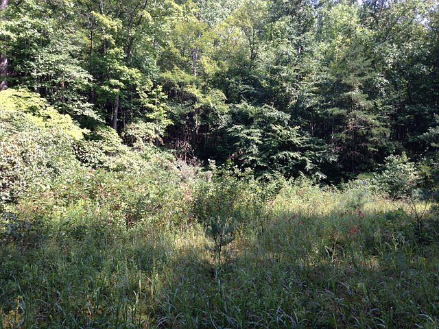 1st image of Tract 1 Reynolds Road