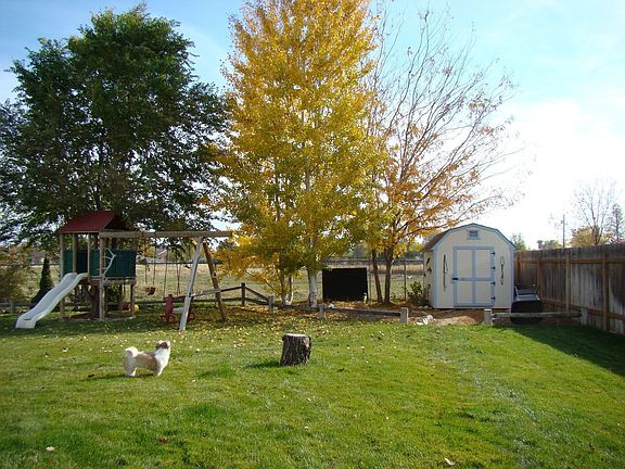 Back Yard Shed