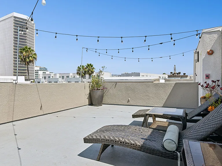 Palm Court — Photo 21