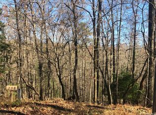 Thomas Mountain Rd, Morganton, GA 30560