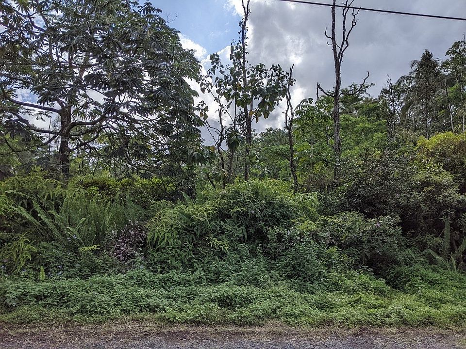 2nd image of 8th Avenue Kahili Lot 1950