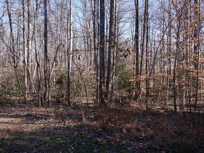 0 Macgregor Ridge Rd, Stafford, VA, 22554