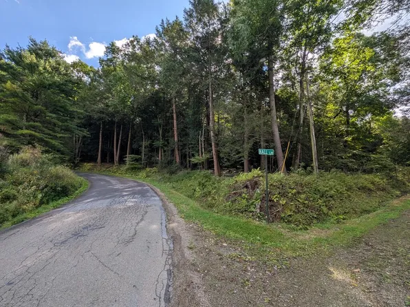 0 Church Hill Rd, Tionesta, PA 16353