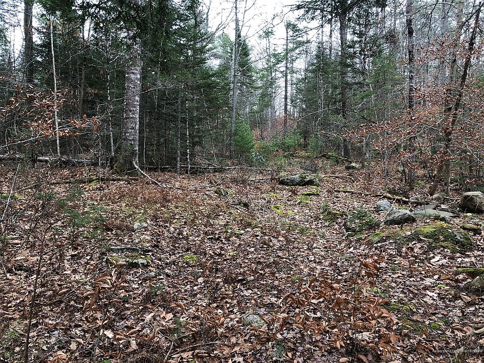 2nd image of 501 Duck Puddle Rd