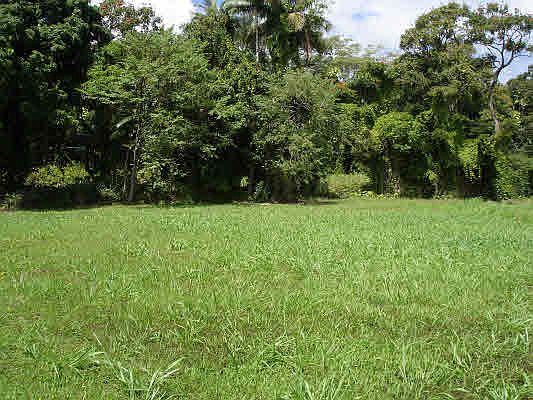 2nd image of Mamalahoa Hwy Lot 16