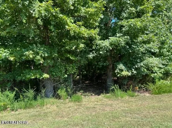 0 E Shore Dr Lot 150, Rockwood, TN 37854