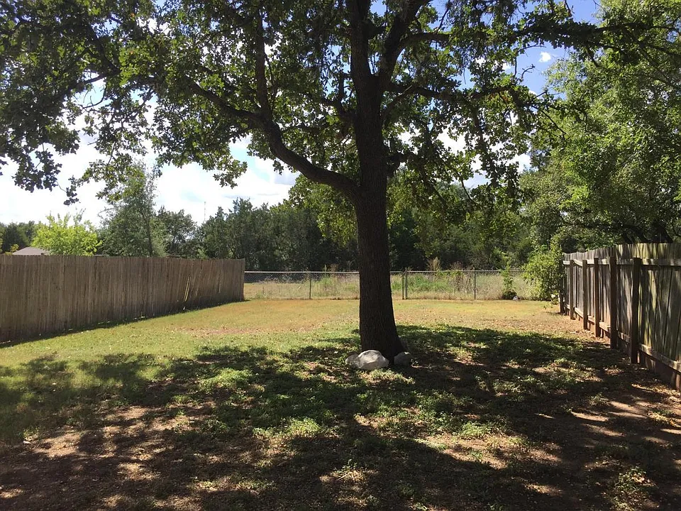 Shaded back yard