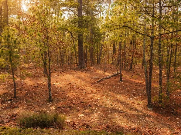 6 Calahorra Cir, Hot Springs Village, AR 71909