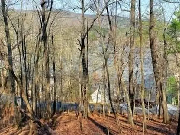 125 Douglas Fir Dr #139, Waleska, GA 30183