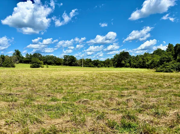 000 County Road 900 #Tbd, Theodosia, MO 65761